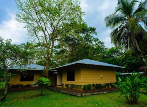 Hotel vip en tortuguero, Costa Rica