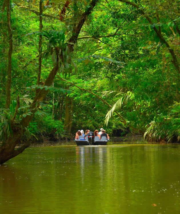 Post-COVID-19-freedom-travel-should-be-unbelievable-Welcome-to-Tortuguero