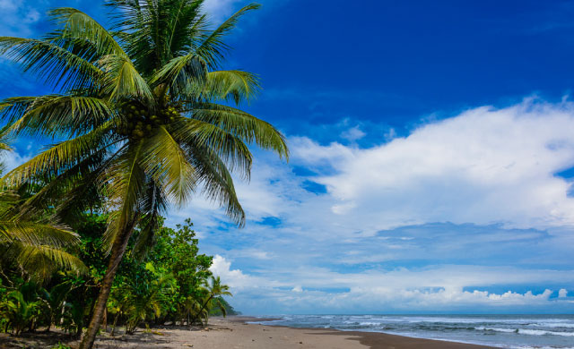 Let´s-explore-5-fabulous-features-of-Costa-Rica´s-Caribbean-Coast