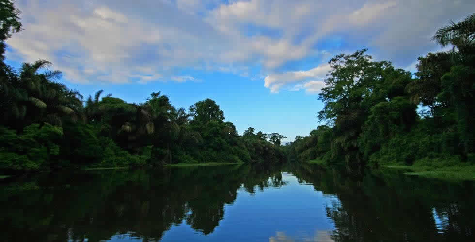 Tortuguero is having a great summer!