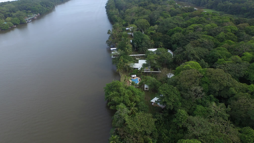 5-reasons-why-manatus-tortuguero-is-the-perfect-postpandemic-getaway