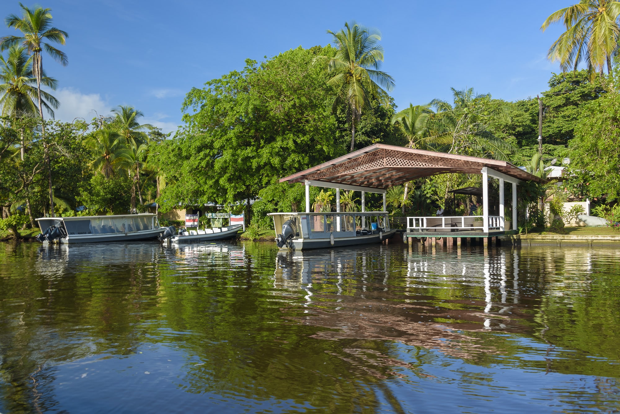 5-reasons-why-manatus-tortuguero-is-the-perfect-postpandemic-getaway