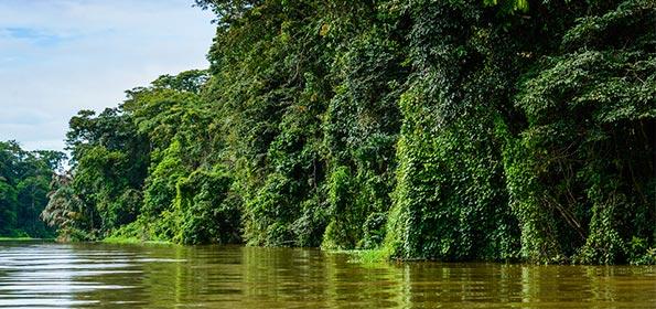 VACACIONES DE AVENTURA EN COSTA RICA: LA EXPERIENCIA ÚNICA DE CONOCER TORTUGUERO