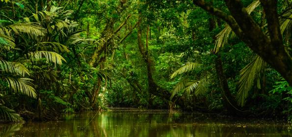 Discover-5-photo-opportunities-visiting-Tortuguero