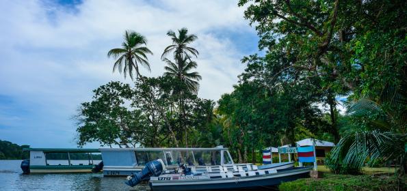 What-our-guests-say-about-Manatus-Costa Rica-Tortuguero