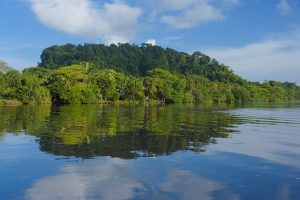 Tortuguero-is-having-a-great-summer