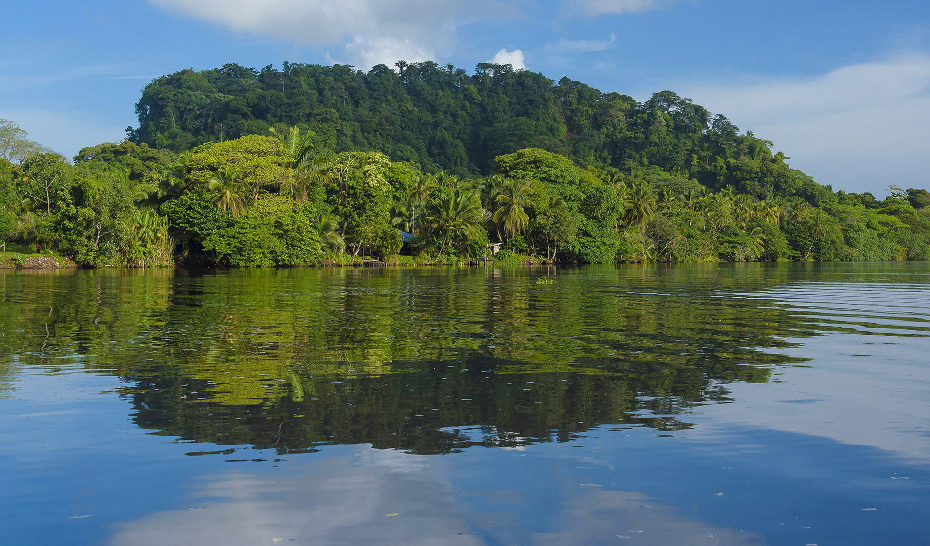 5 razones por las que Manatus Tortuguero es la escapada perfecta post-pandémica