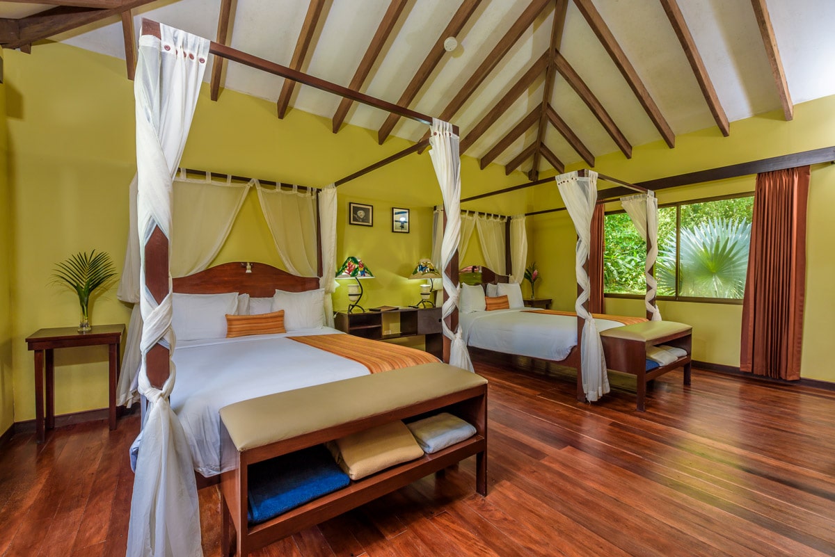 5-reasons-why-manatus-tortuguero-is-the-perfect-postpandemic-getaway