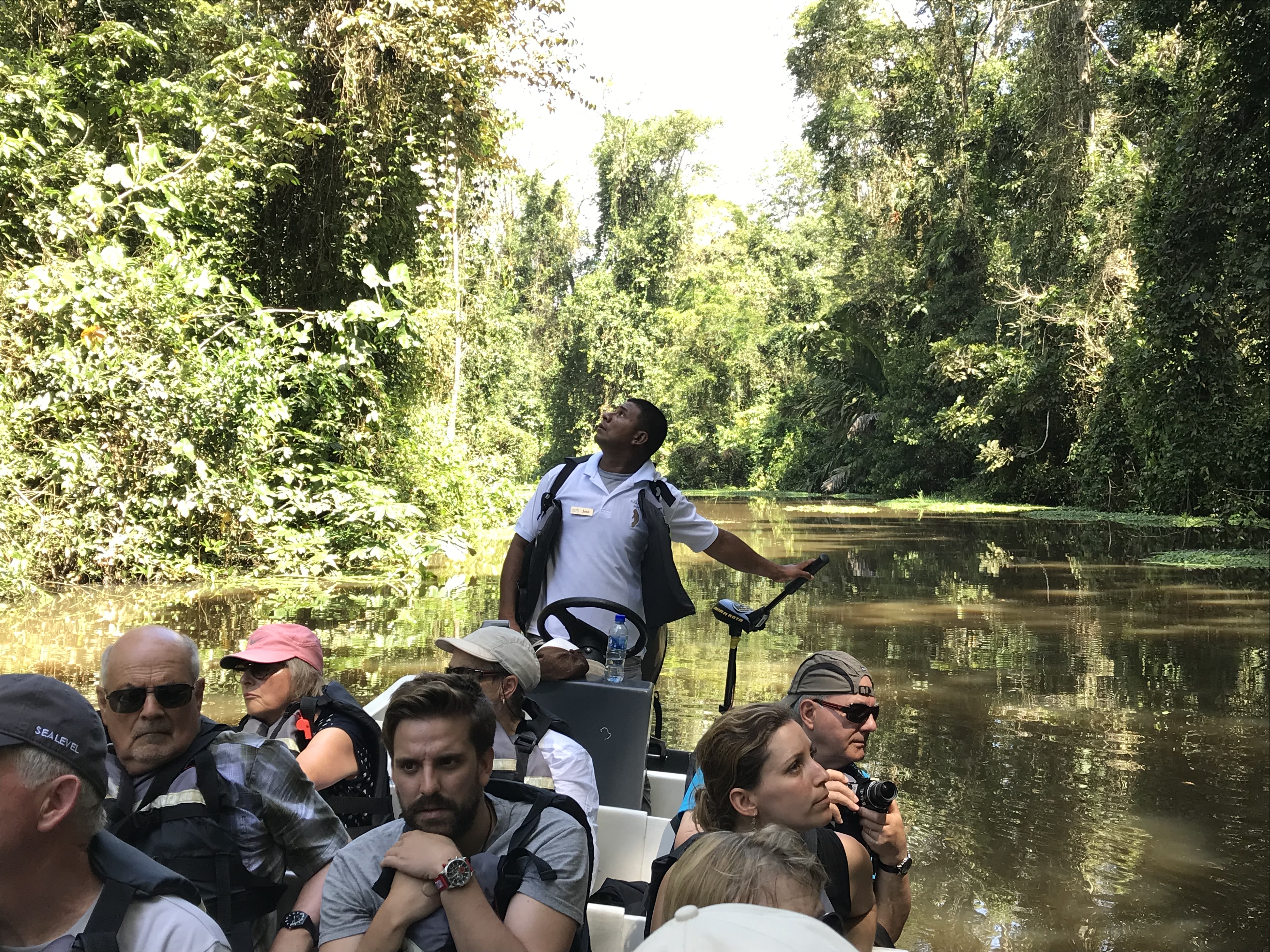 When-is-turtle-nesting-season-Tortuguero-starts now