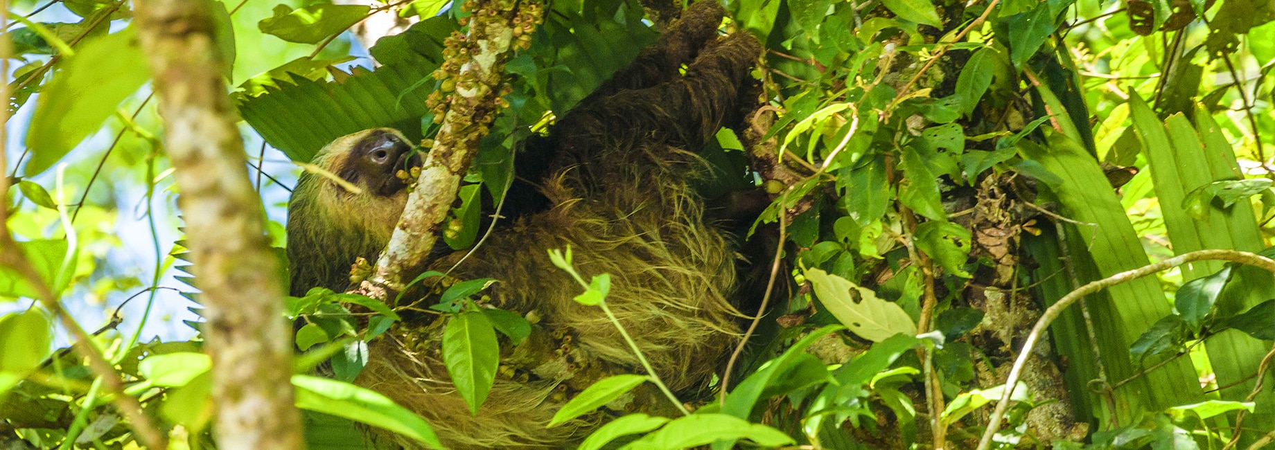 Discover-5-photo-opportunities-visiting-Tortuguero